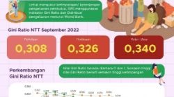Gini Ratio Provinsi NTT September 2022 tercatat sebesar 0,340