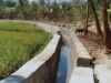 Revolusi Drainase: Menangani Banjir dengan Solusi Permanen