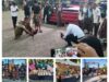 Tradisi Peluru Hawu (dajja Ray), Pe Iu Mannu, Dan Pe’doa Etnis Sabu Raijua Meriahkan Pembukaan Festival Budaya Kelurahan Airnona